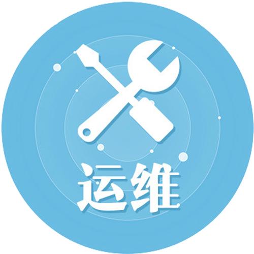 IT駐場(chǎng)服務(wù) 全球500強(qiáng)企業(yè)的嵌入式技術(shù)支持與創(chuàng)新驅(qū)動(dòng)