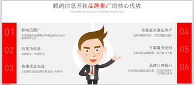 騰鴿信息 一站式網絡營銷外包與商務咨詢服務，驅動企業數字化增長