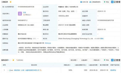 螞蟻集團(tuán)重慶布局科技新公司，深化人工智能與軟件開(kāi)發(fā)業(yè)務(wù)